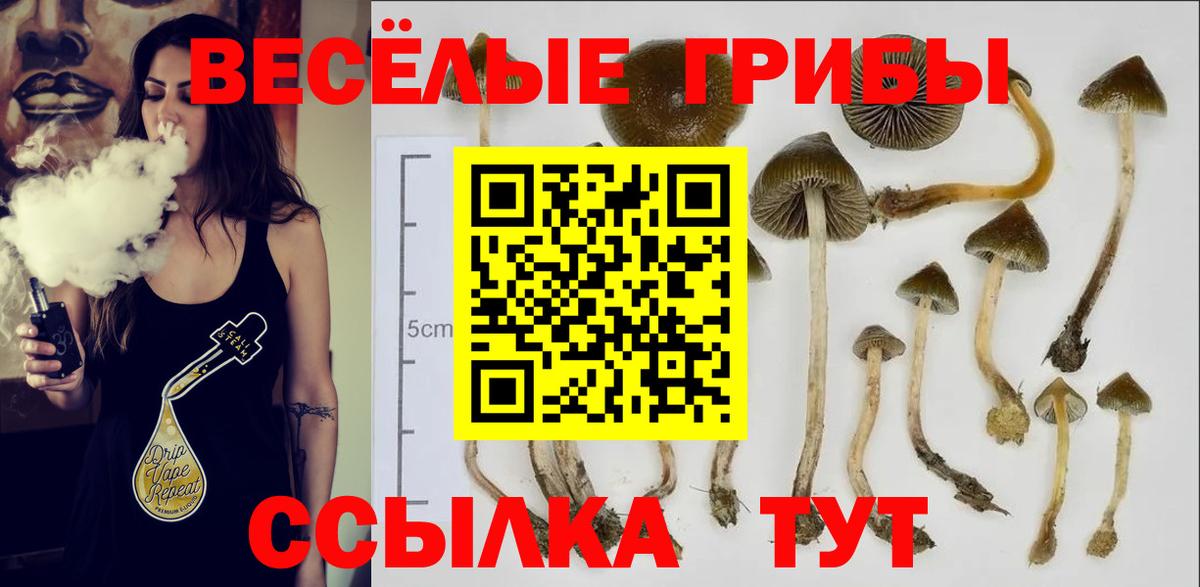 Шали  Галлюциногенные грибы Magic Shrooms  дарнет шоп  Вход с VPN 